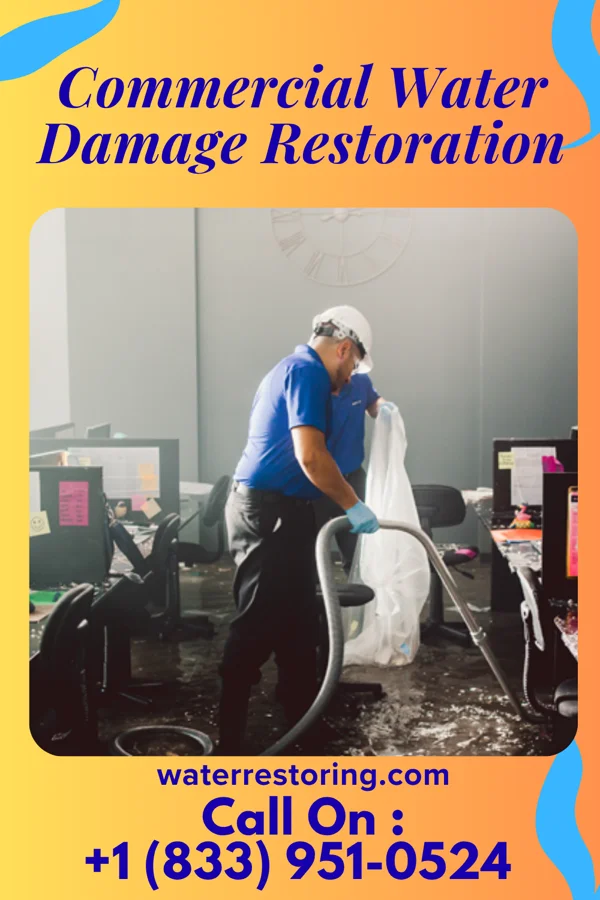 Commercial Water Damage Restoration in Fenwood, WI