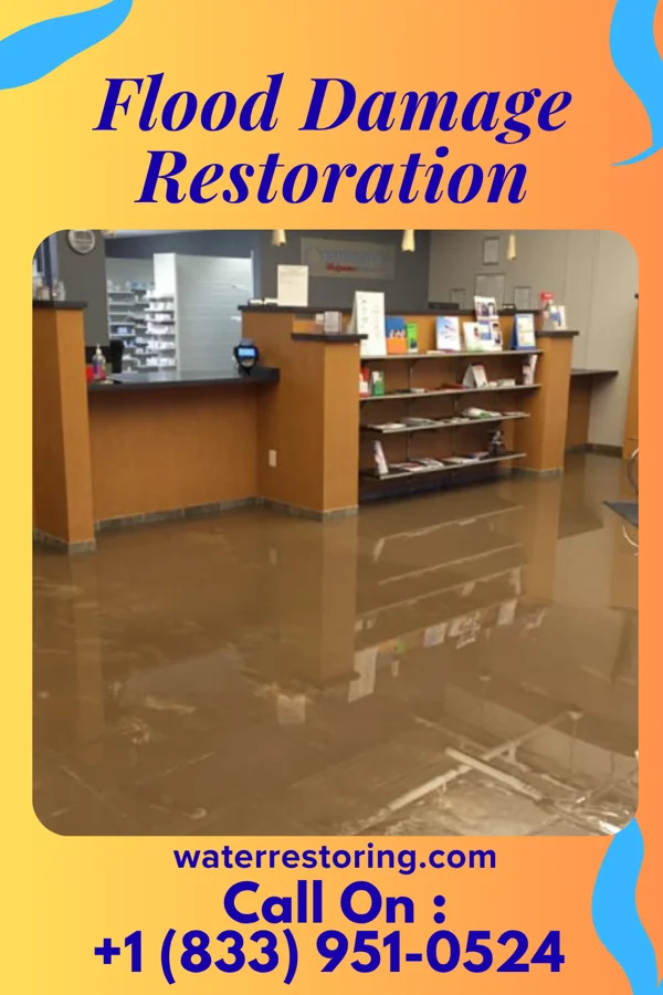 Flood Damage Restoration in Fenwood, WI