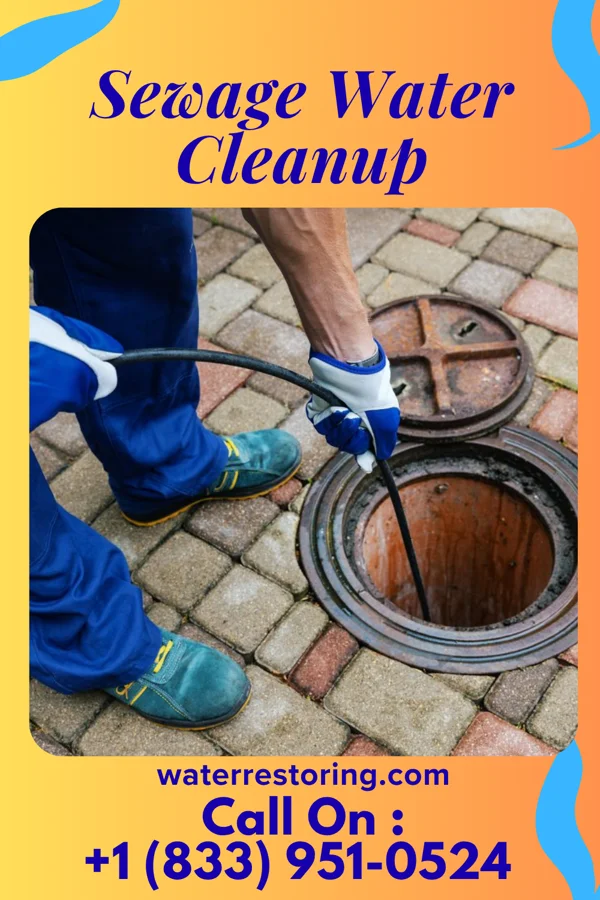 Sewage Water Cleanup in Fenwood, WI